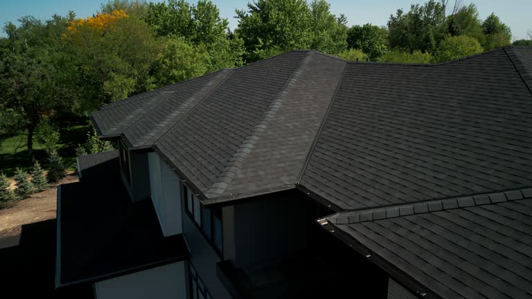 Best Roof Ventilation Installation  in Leadington, MO