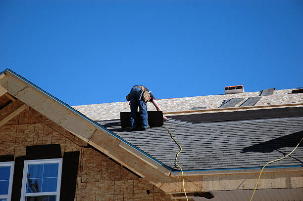 Best Solar Panel Roofing Installation  in Leadington, MO